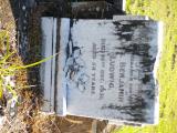 image of grave number 455251